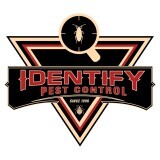 identifypest