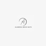 alamedamoldguys