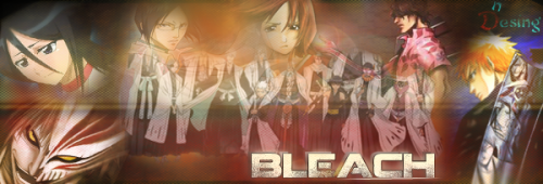 Bleach2