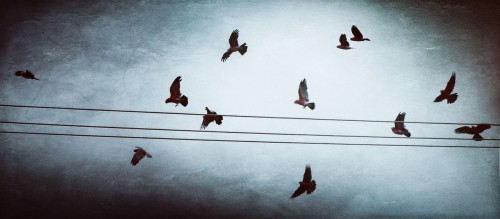 be_my_call_by_inextremiss-d8i2kxv.jpg