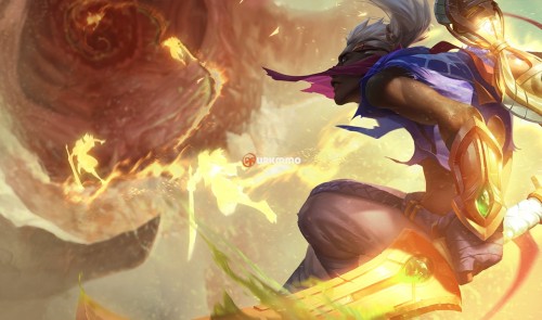 Ekko_132575.jpg