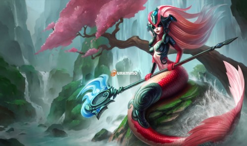 Nami_1.jpg