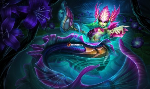 Nami_2.jpg