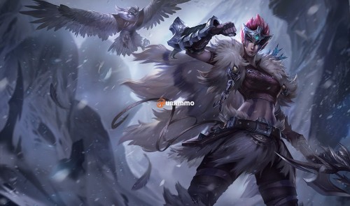Quinn_2.jpg