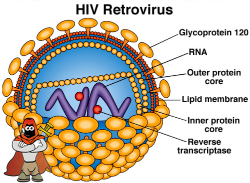 Retroviridae.png