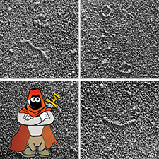 Viroid.png