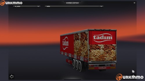 eurotrucks22015-11-0320-29-12-582.jpg