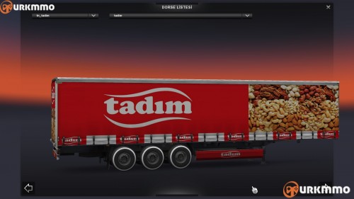 eurotrucks22015-11-0320-29-14-600.jpg