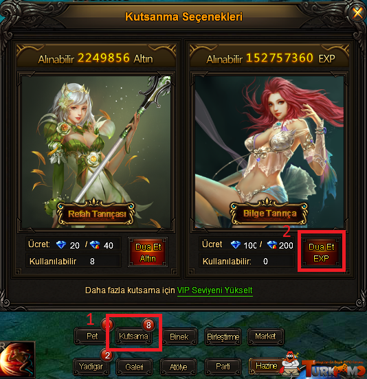 Spend fortune. VIP Exp Goddess era.