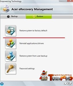 acer.jpg