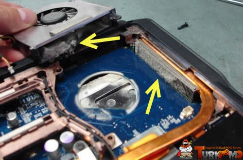 laptop-fan.jpg