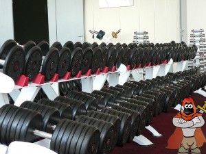 dambil-rafi-dumbbell-rack-300x225.jpg