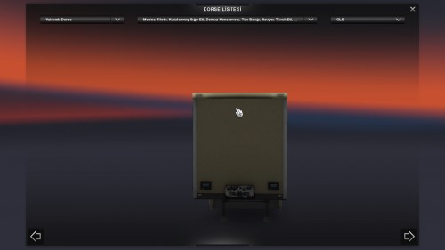 TIRDORSELERITKMMO172.jpg