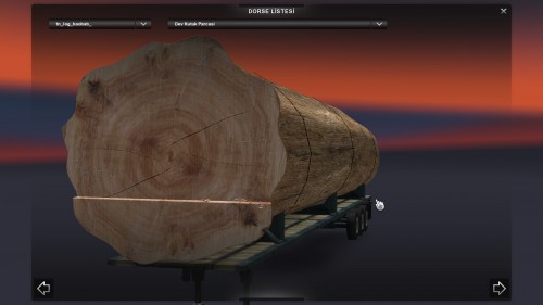 TIRDORSELERITKMMO180.jpg