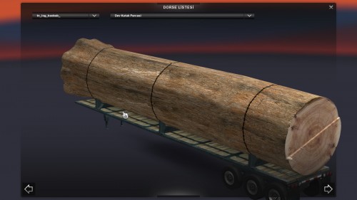 TIRDORSELERITKMMO181.jpg