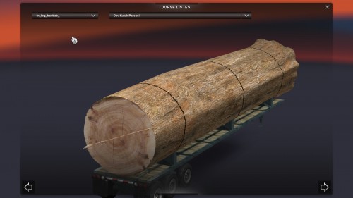 TIRDORSELERITKMMO182.jpg