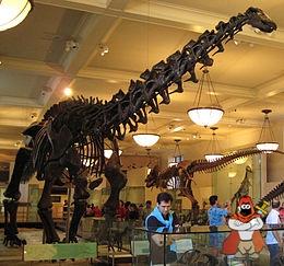260px-Apatosaurus.jpg
