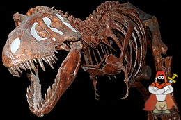 260px-Fossil_Tyranausaurus_Rex_at_the_Royal_Tyrell_Museum_Alberta_Canada.jpg