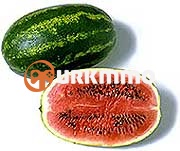 karpuz002.jpg