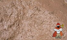 220px-Mud_closeup.jpg