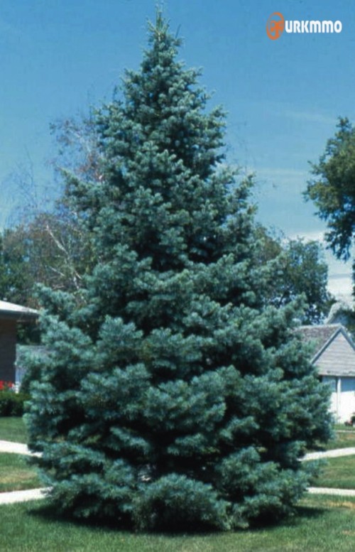 232ae14471fa42ceaa90d28d0c39e5b6.jpg