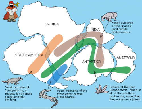 580px-Snider-Pellegrini_Wegener_fossil_map.svg.png