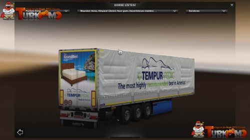 tmets206.jpg