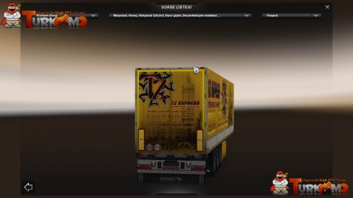 tmets213.jpg