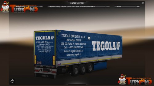 tmets218.jpg