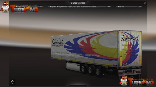 tmets221.jpg