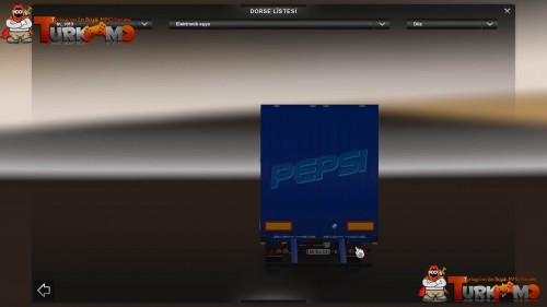 tmets24.jpg