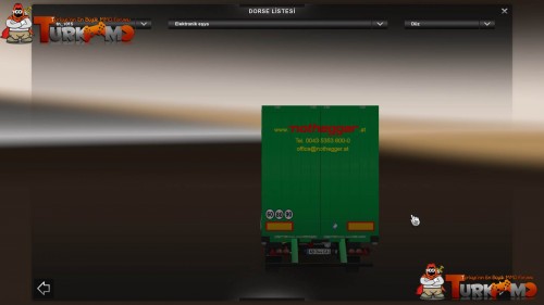 tmets29.jpg