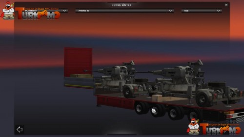 tmets39.jpg