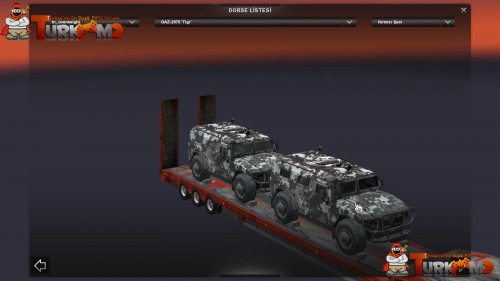 tmets48.jpg