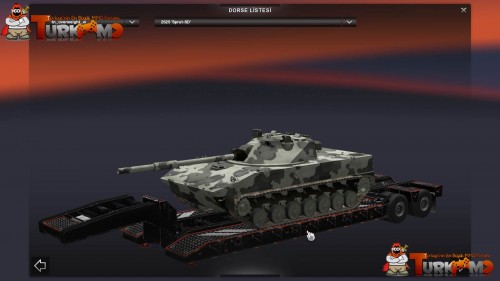 tmets56.jpg