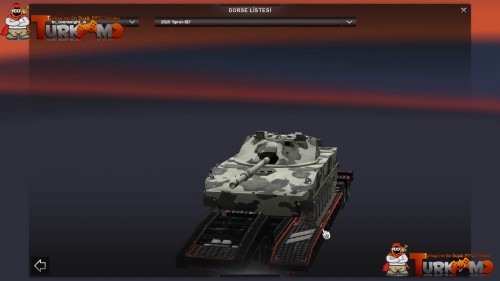 tmets57.jpg