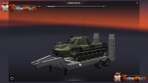 tmets63.jpg