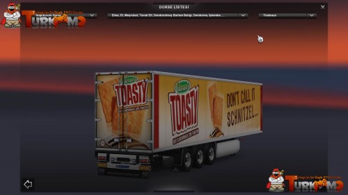 tmets85.jpg