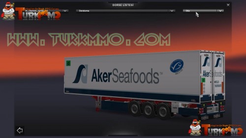 etsttkmmo61.jpg