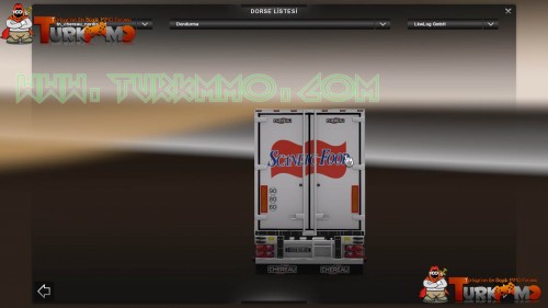 etsttkmmo89.jpg
