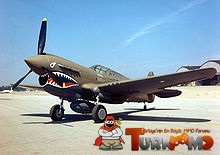 220px-Curtiss_P-40E_Warhawk_2_USAF.jpg