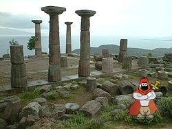 250px-Assos.jpg