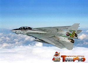 300px-F-14A_Tomcat_over_Iraq_during_Southern_Watch.jpg