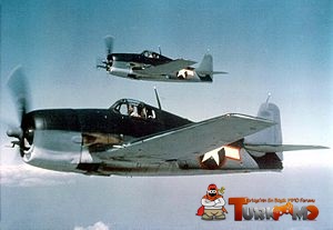 300px-Hellcats_F6F-3_May_1943.jpg