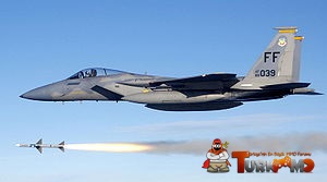 300px-USAF_F-15C_fires_AIM-7_Sparrow_2.jpg