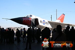 1212.jpg