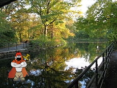 230px-ProspectParkReflections7957.jpg
