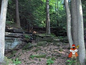 279px-Cuyahoga_Valley_National_Park.jpg