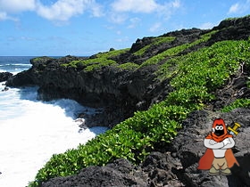 280px-Kipahulu_coast.jpg