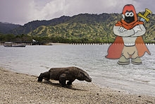 220px-Komodo_dragon_at_Komodo_National_Park.jpg